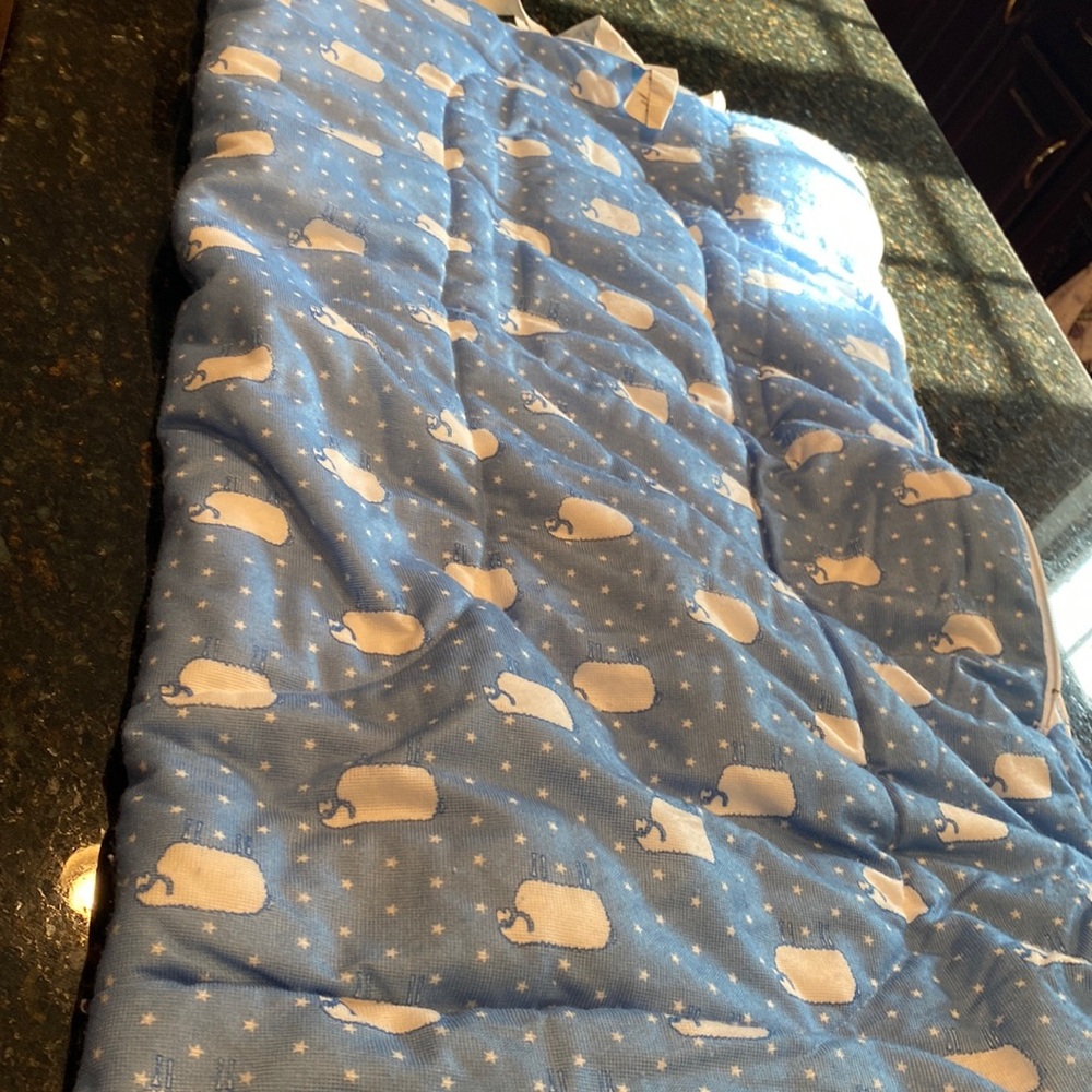 Vintage 1990s Sleepy-Time for Toddlers, Sleeping Bag
